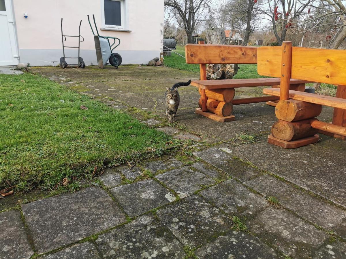 فيلا Wellness Oase Auf Dem Land Buttstadt المظهر الخارجي الصورة